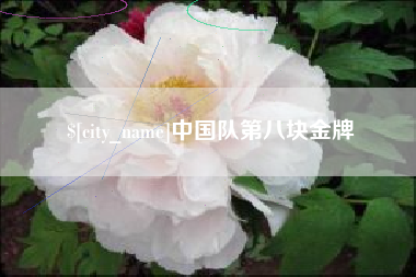 中国队第八块金牌