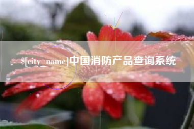 中国消防产品查询系统