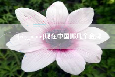 现在中国哪几个金牌