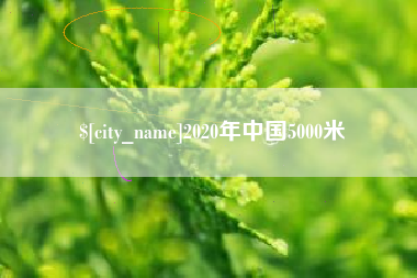 2020年中国5000米