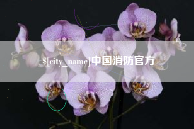 中国消防官方