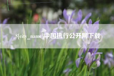 中国执行公开网下载