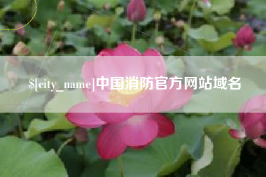 中国消防官方网站域名