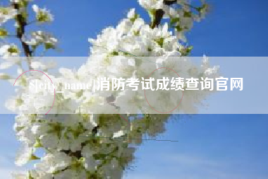 消防考试成绩查询官网