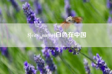 白色在中国