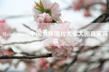 中国金牌图片大全大图真实高清