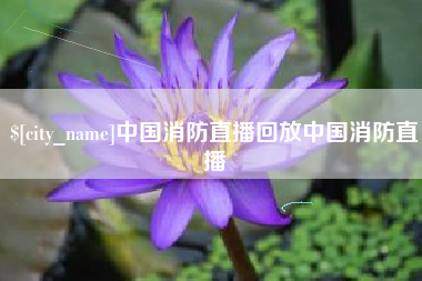 中国消防直播回放中国消防直播