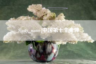 中国第十个金牌