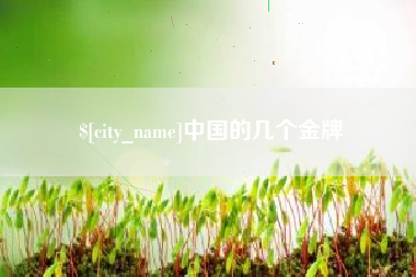 中国的几个金牌