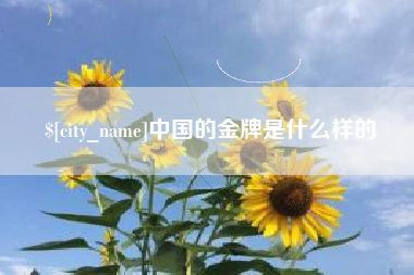 中国的金牌是什么样的