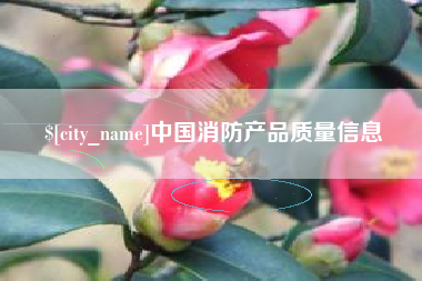 中国消防产品质量信息