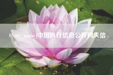 中国执行信息公开网失信