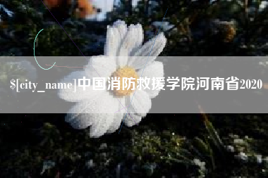 中国消防救援学院河南省2020